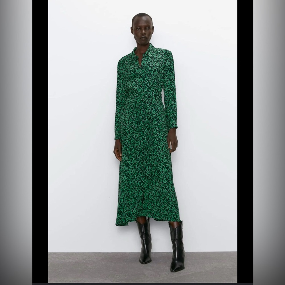 Zara Long Sleeve Dress in Green and Black